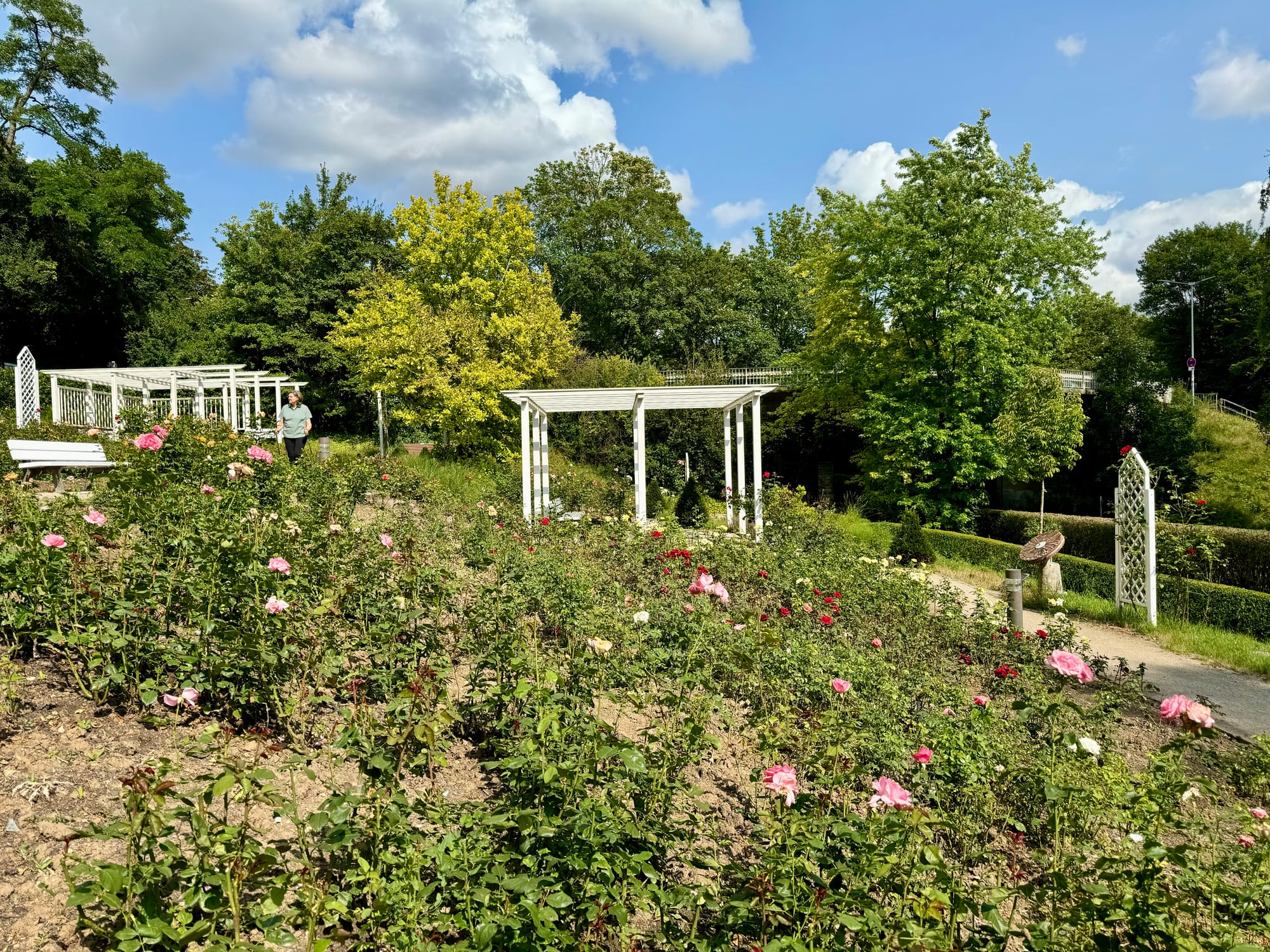 Rosengarten im Kurpark