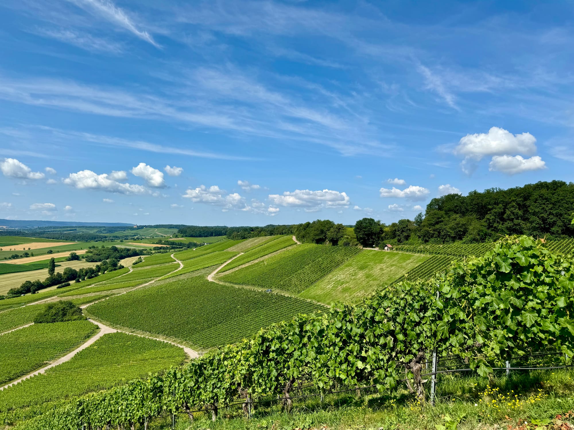 Zwischen dem Hörnle und Neipperg