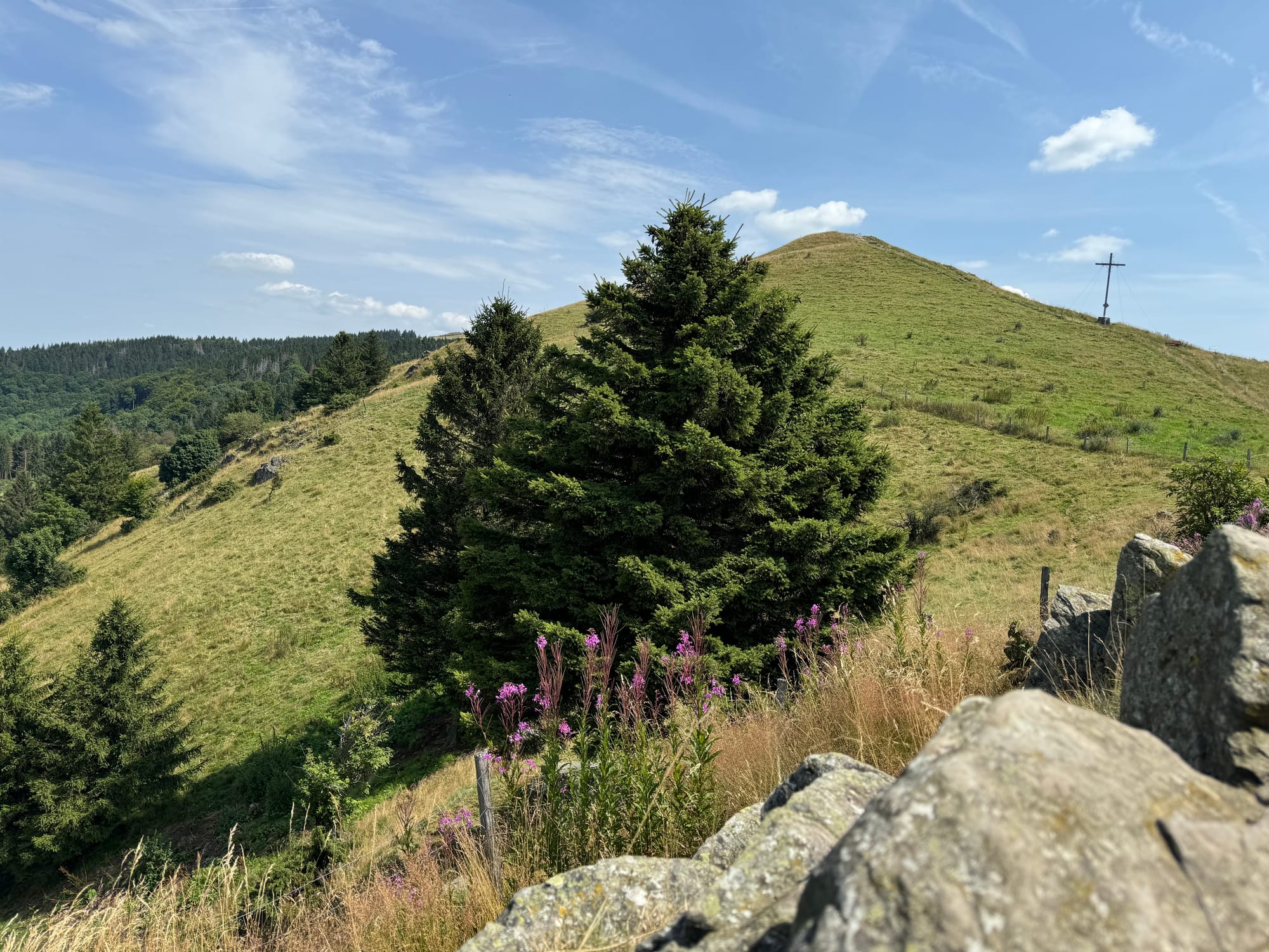 Blick auf den Pferdskopf