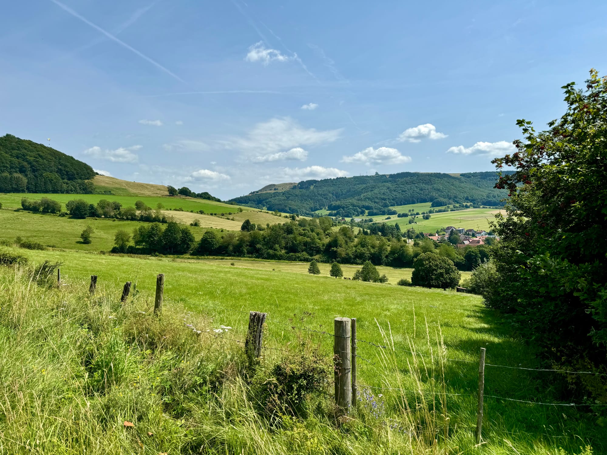 Wiesenpanorama bei Abtsroda