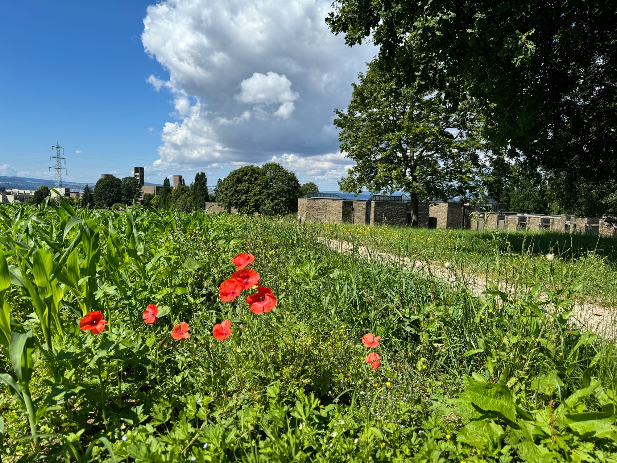 Vallendar Schönstatt