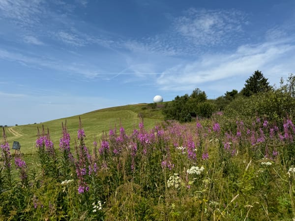 Wanderung Wasserkuppe - Milseburg (Rhön)