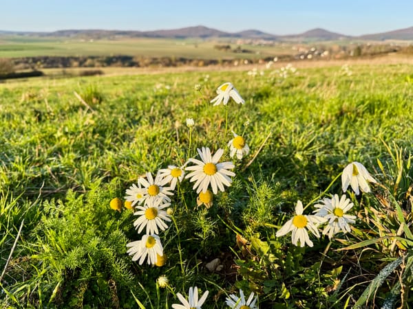 Hünfeld (Rhön)